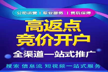 SEM主管案例分析：优化策略
